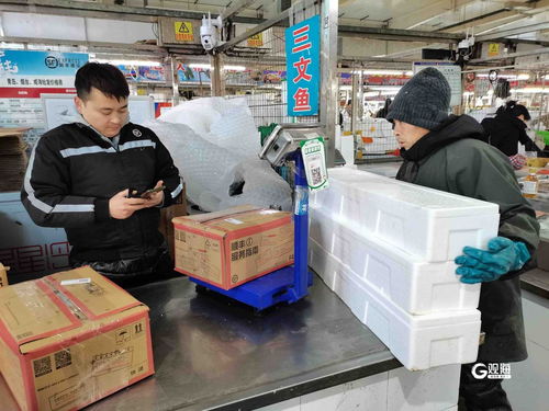 日銷上百噸,偏愛魚和蝦 年年有 魚 ,青島海鮮市場進入 春節模式